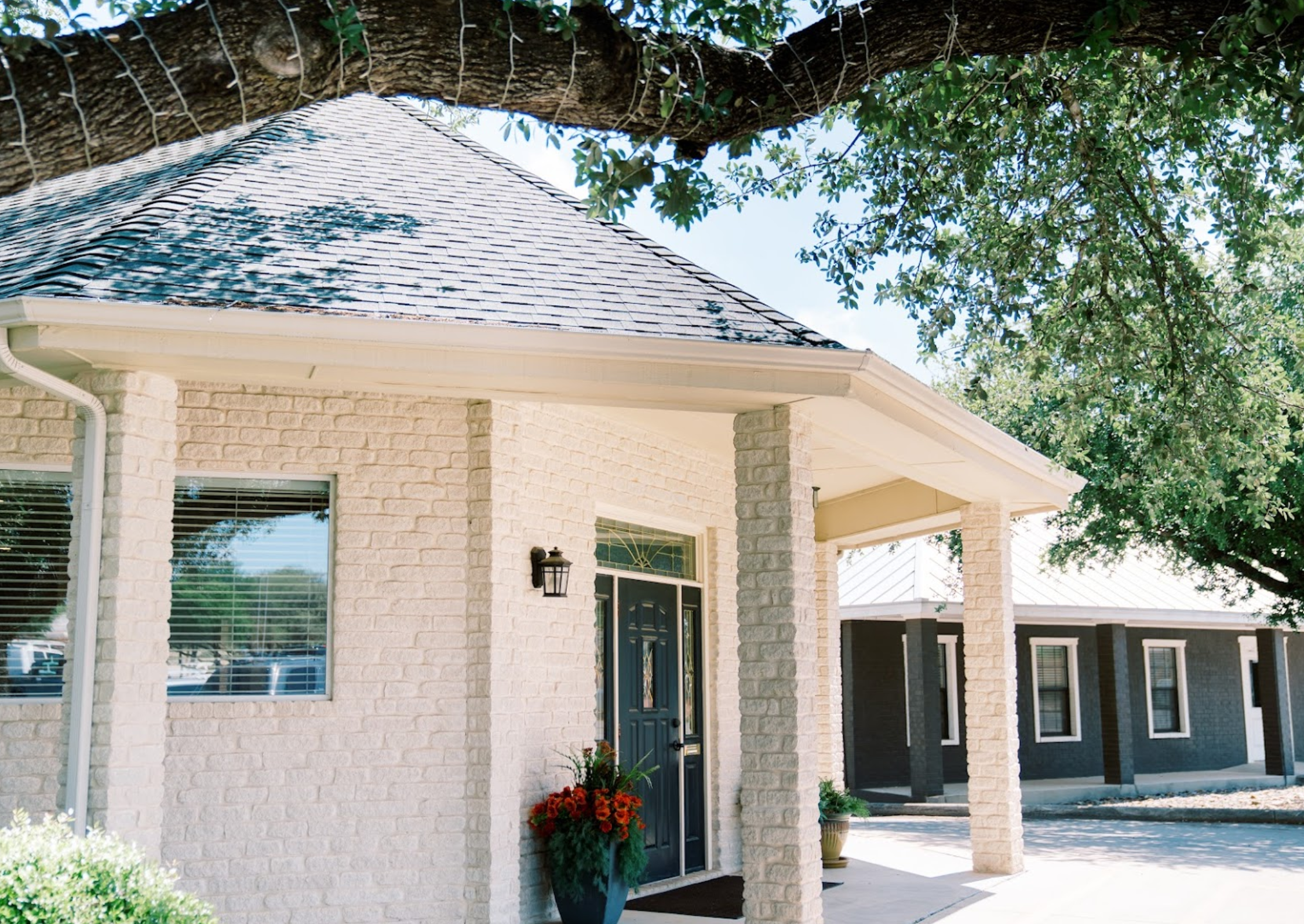 dentist in New Braunfels